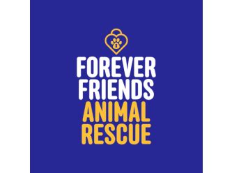 Friends forever animal rescue - FurEver Friends Animal Rescue, est 2002, Enka, North Carolina. 5,479 likes · 1,189 talking about this. A non-profit, no-kill, all volunteer rescue in Asheville, NC committed to saving kitties 